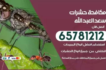 شركة مكافحة حشرات سعد العبدالله