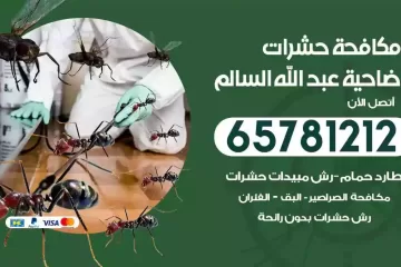 شركة مكافحة حشرات ضاحية عبدالله السالم
