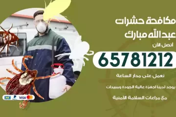 شركة مكافحة حشرات عبدالله مبارك