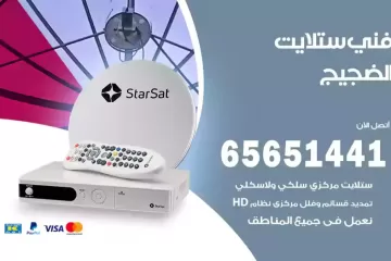 فني ستلايت الضجيج